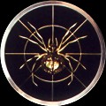 Spyder emblem (full wheel disk center)